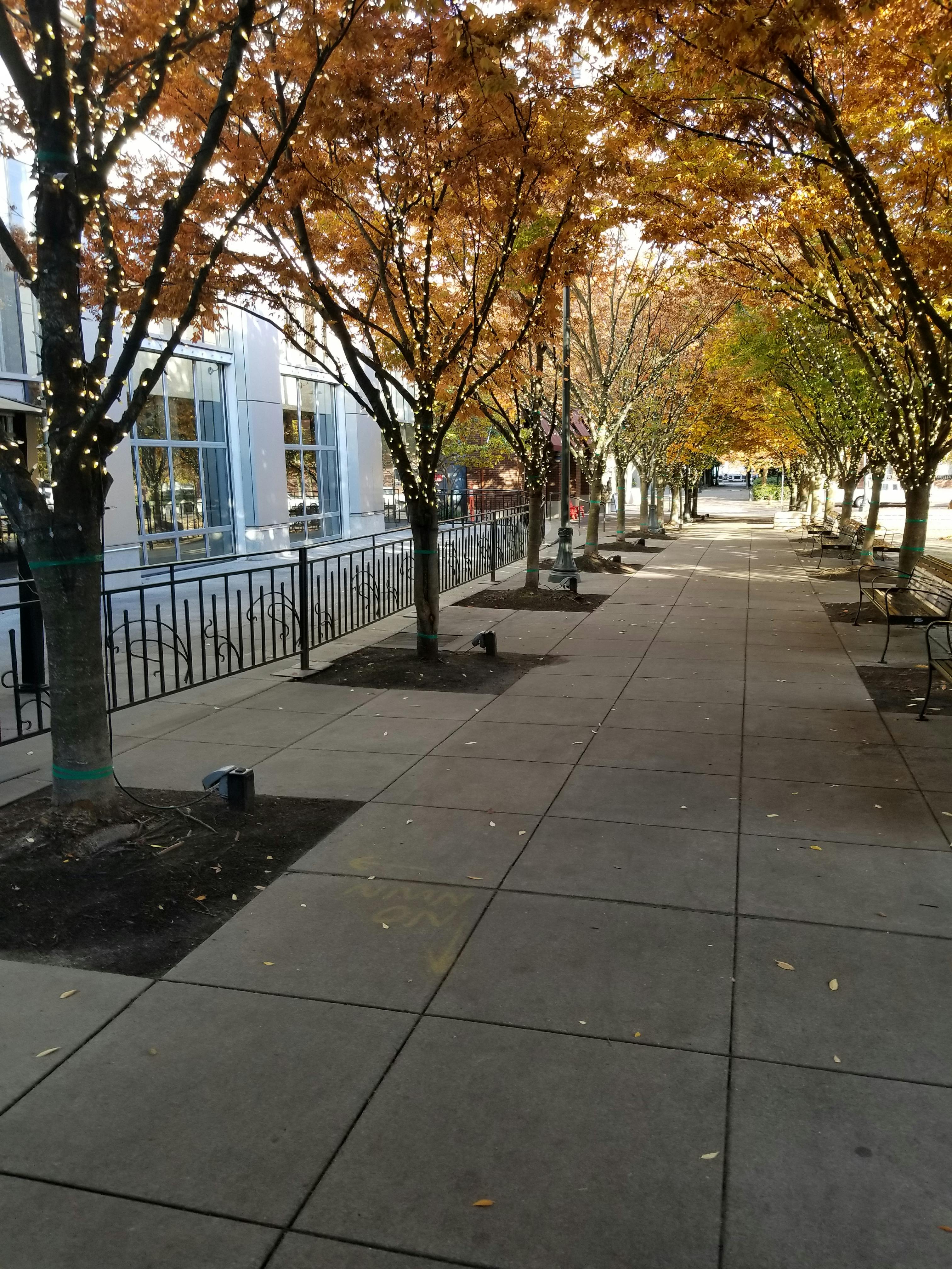 Jamison Square Walkway and Business.jpg