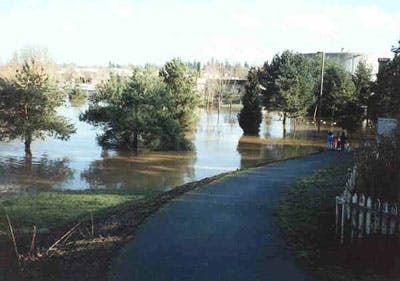 1996 Flood