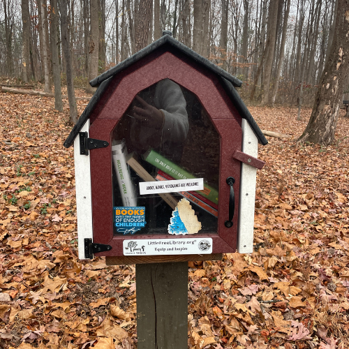 preservation of existing little free library