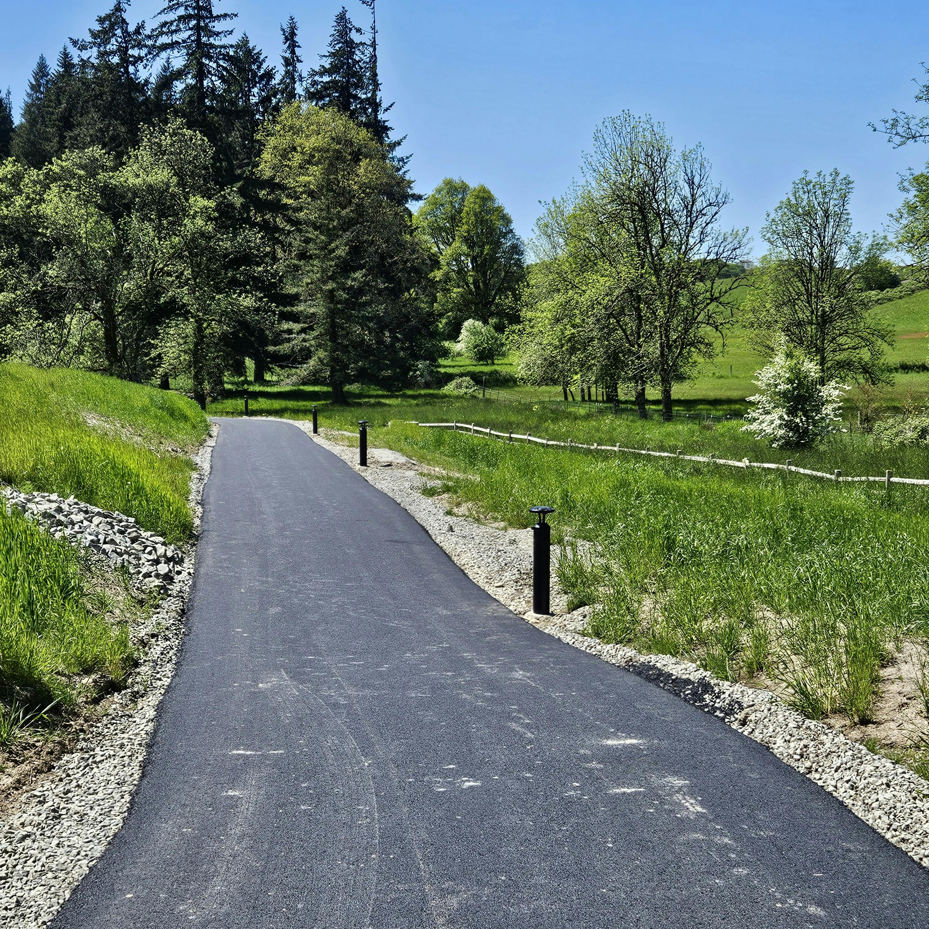 A paved path with lighting alongside it meanders through a grassy area and into trees.