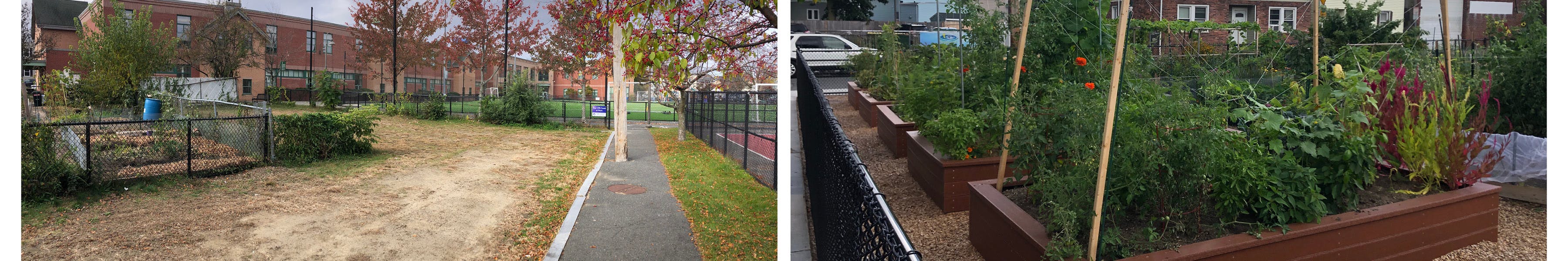 before picture: empty lot with existing Glen Park Community Garden plots in background, after: new garden beds full of plants
