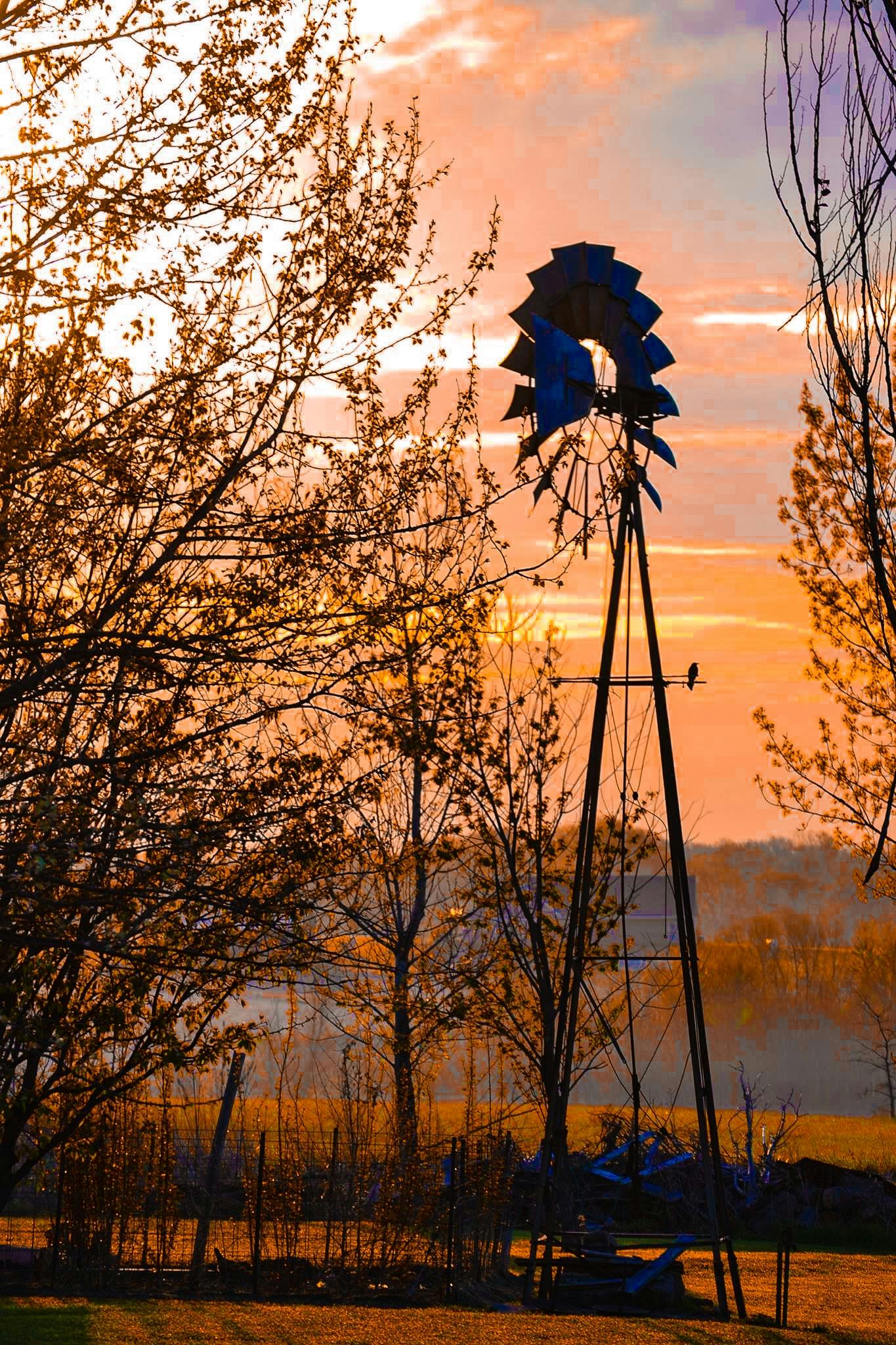 Marceline Windmill Sunset.JPG