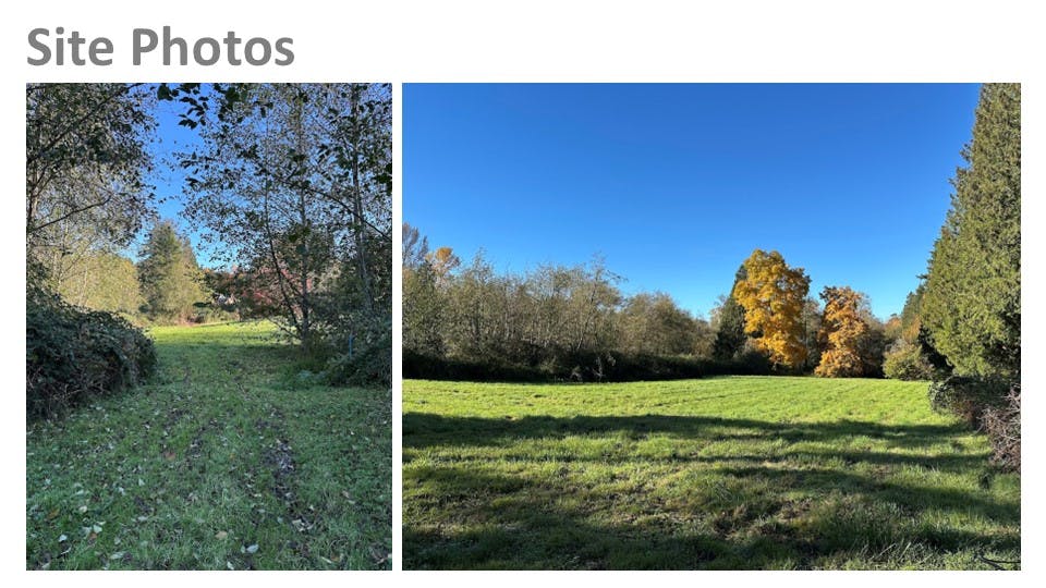 Pastures and Mowed Pathways