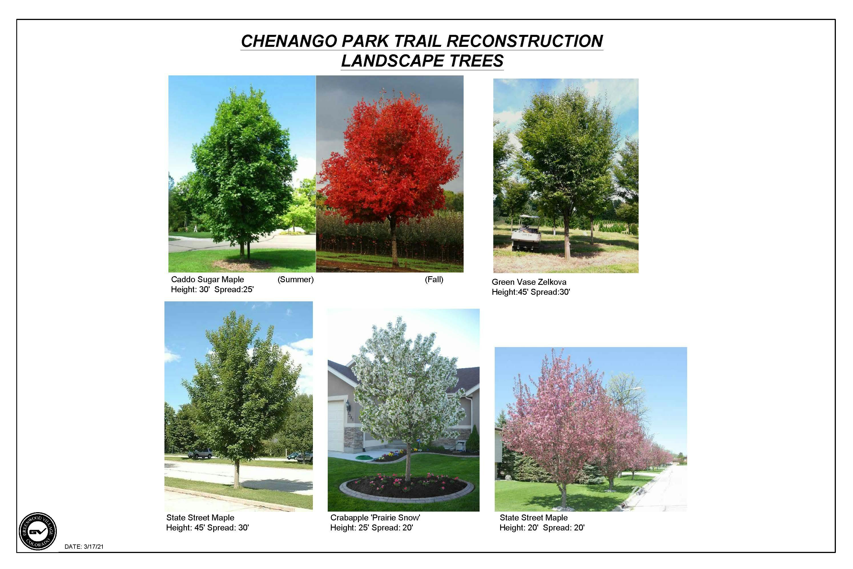 Chenango Plant Palette-Trees.jpg