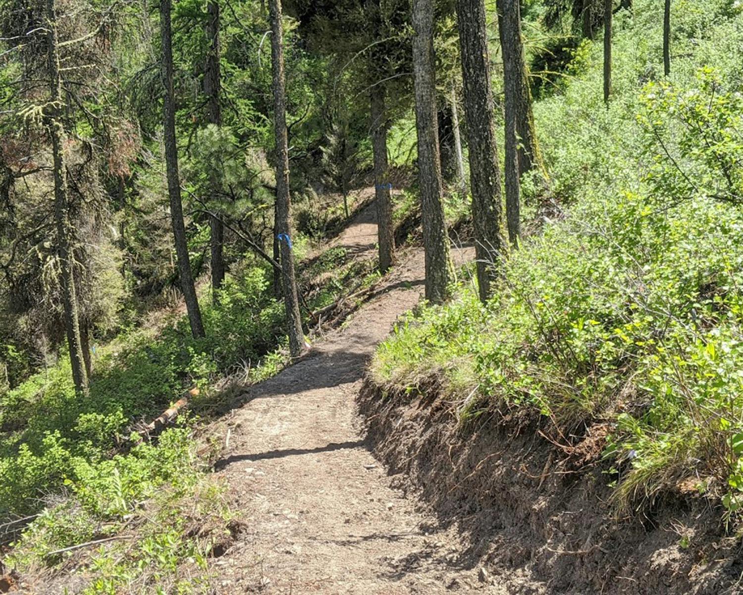 Broadly accessible trail_by Brian Williams_courtesy of Five Valleys.jpg