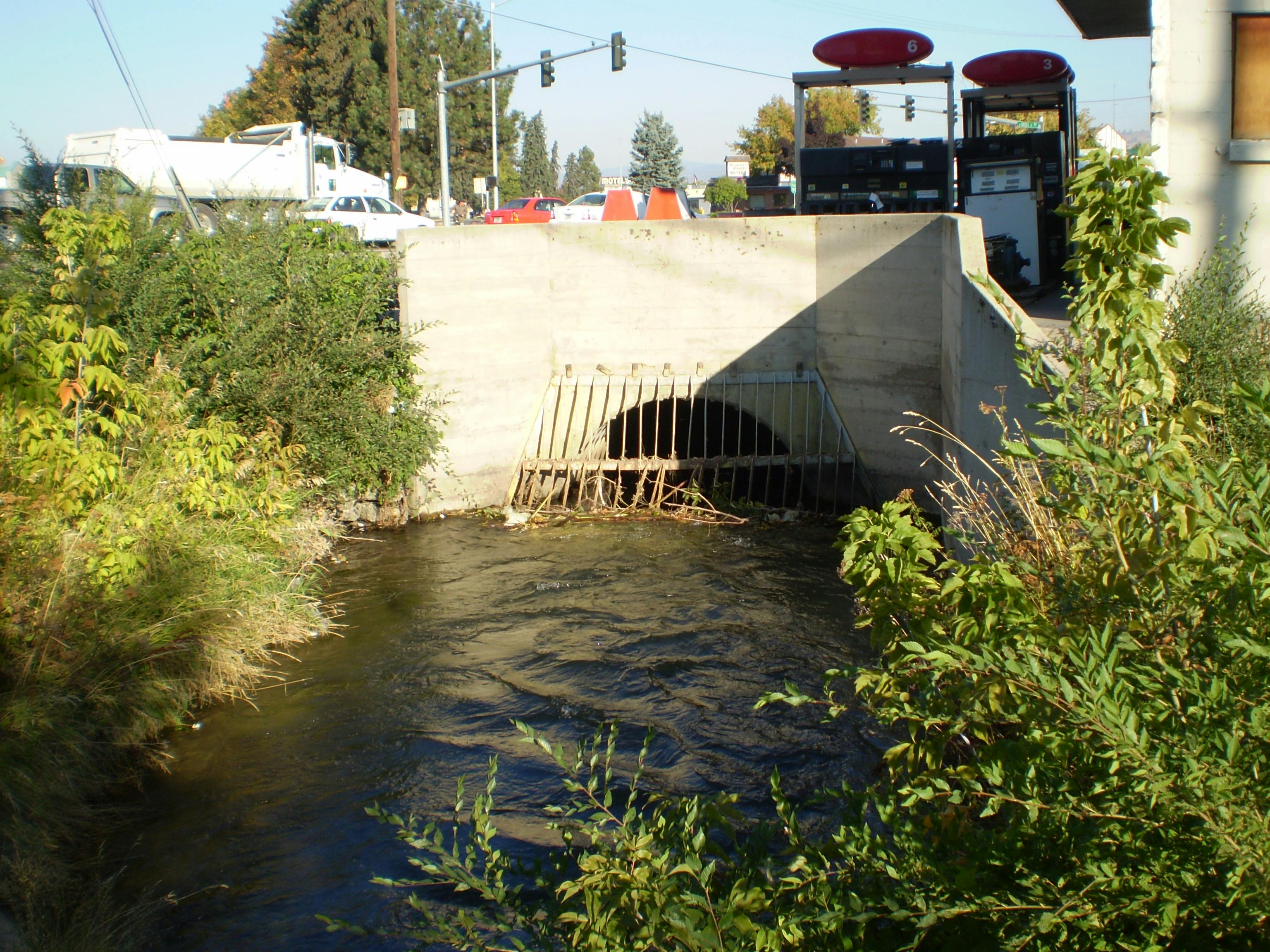 Culvert under Russell St. - 2009.