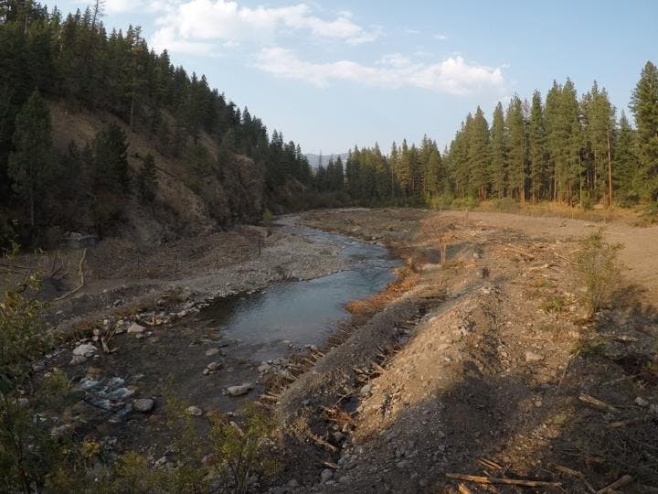Former Dam Site Ready for Revegetation