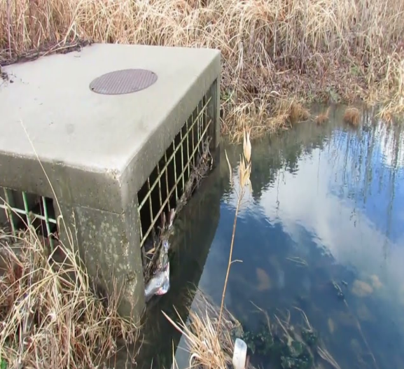 Water Exchange - Construct overflow within or along the lagoon shoreline that  drains to Lake Michigan (inner harbor) and provides for  maintaining a minimum water level