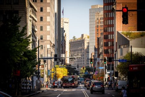 Team member, Matt Trepal