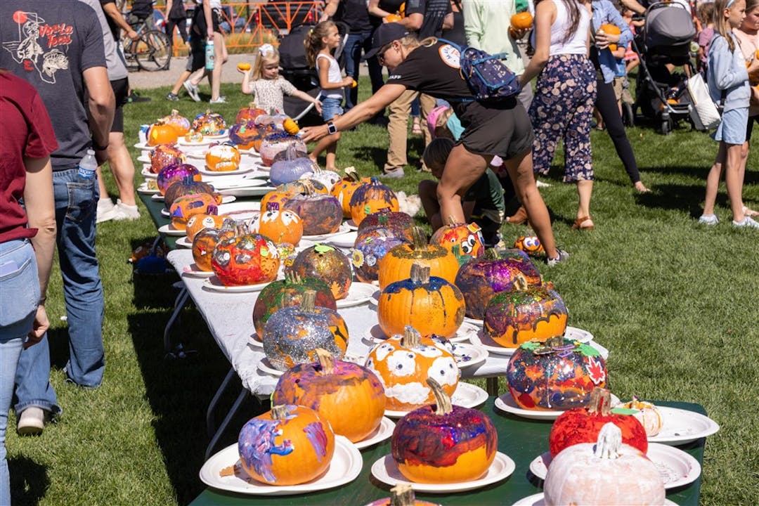 pumpkins at fall festival