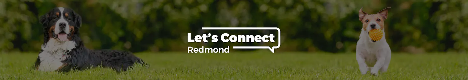 project banner