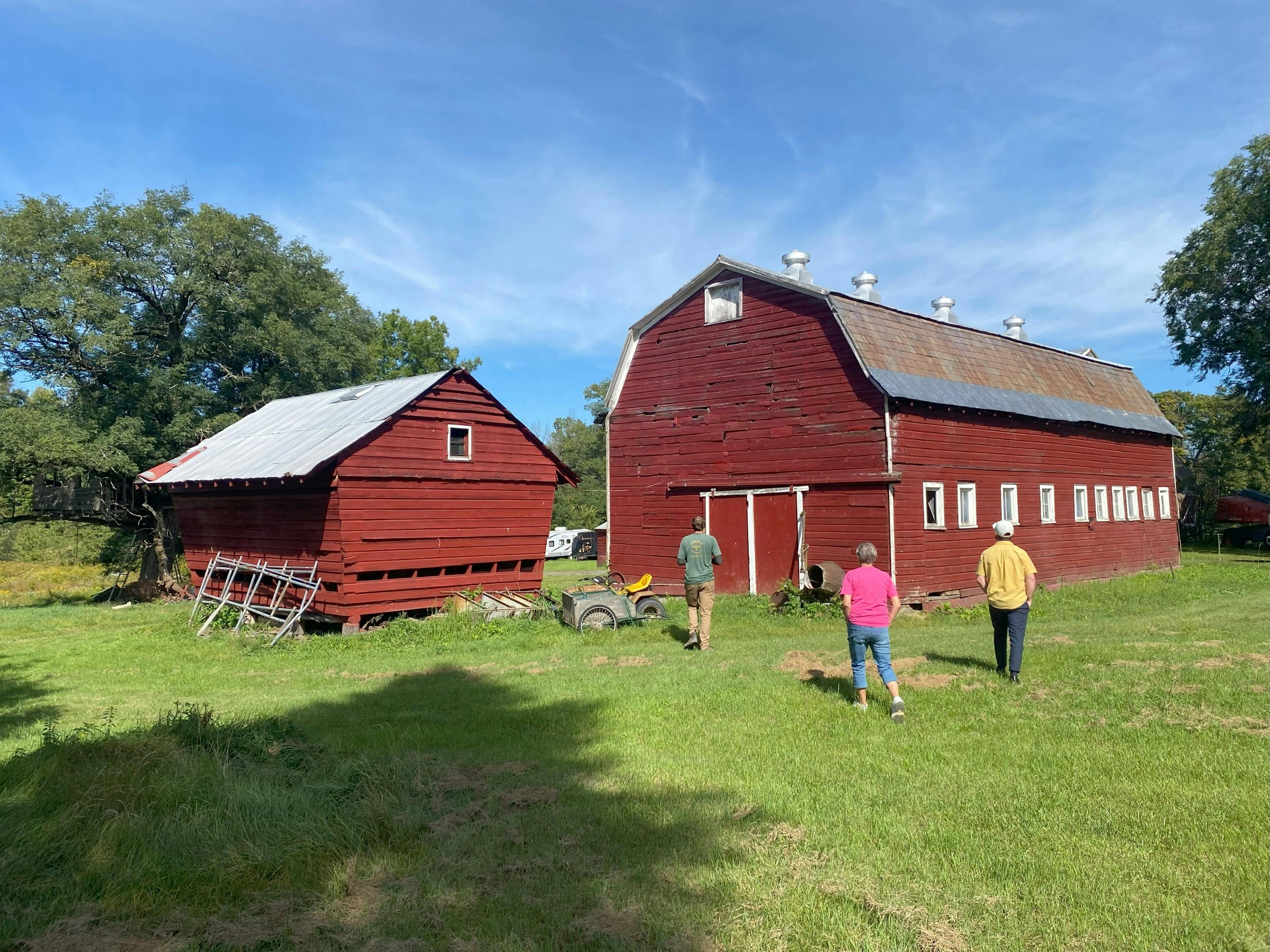 Red Barns on MacElroy Farm_2024_photo by John Scherer_from MacElroy Farm Presentation.jpg