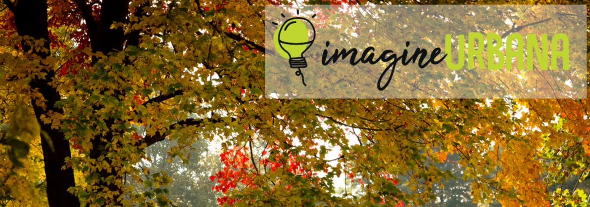 Banner Image of tree canopy in Urbana
