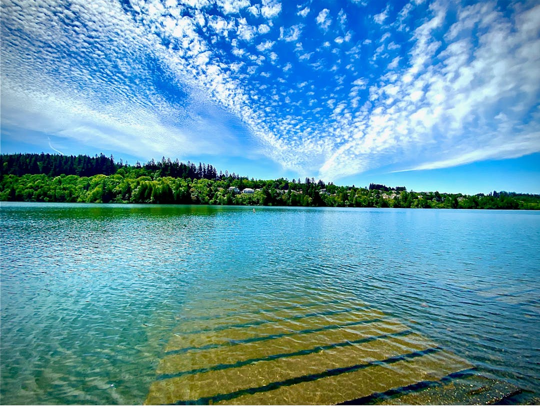 Lacamas Lake Management Plan | Engage Camas