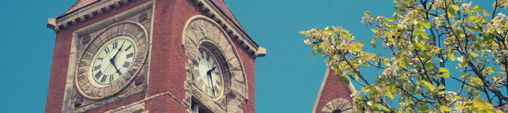 View of the clocktower at Amherst Town Hall with blue skies and tree with green leaves. 