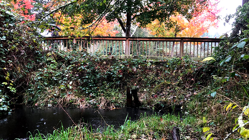 Photo of Kelsey Creek north of the Lake Hills Greenbelt