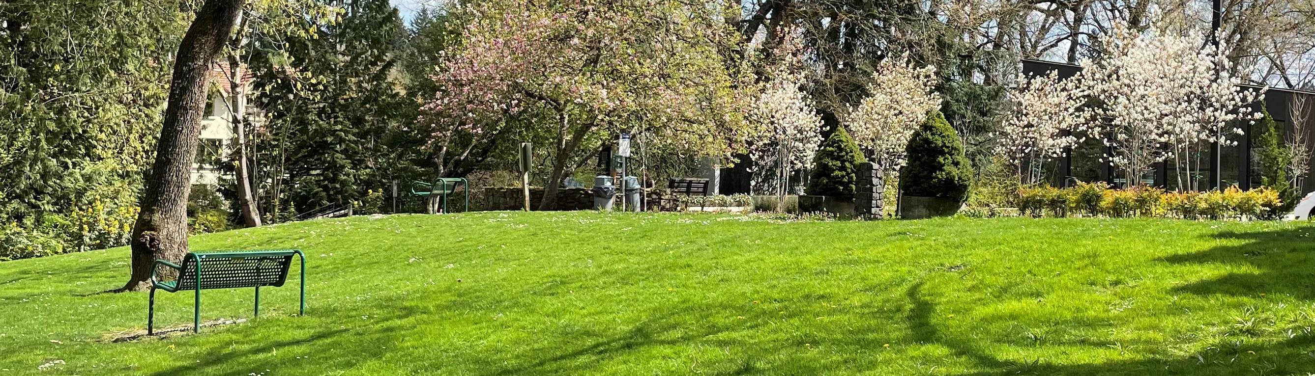 Scott Park With Ledding Library in the background