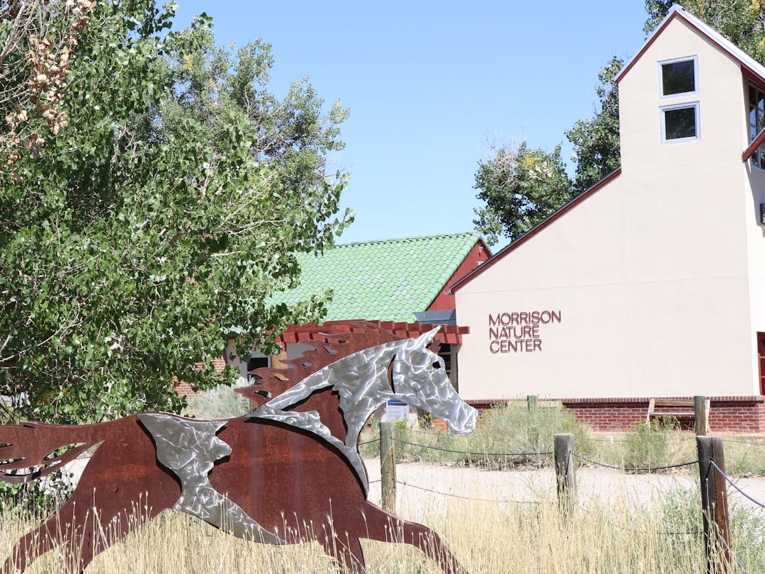 Photo of metal horse artwork in front of Morrison Nature Center at Star K Ranch.
