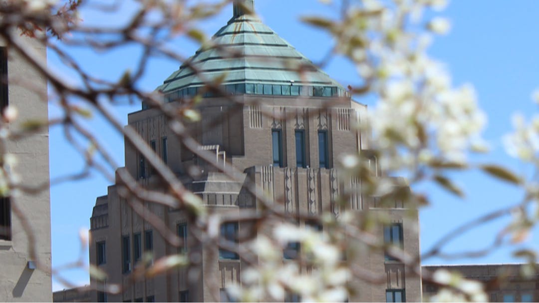 City Building with flowering trees