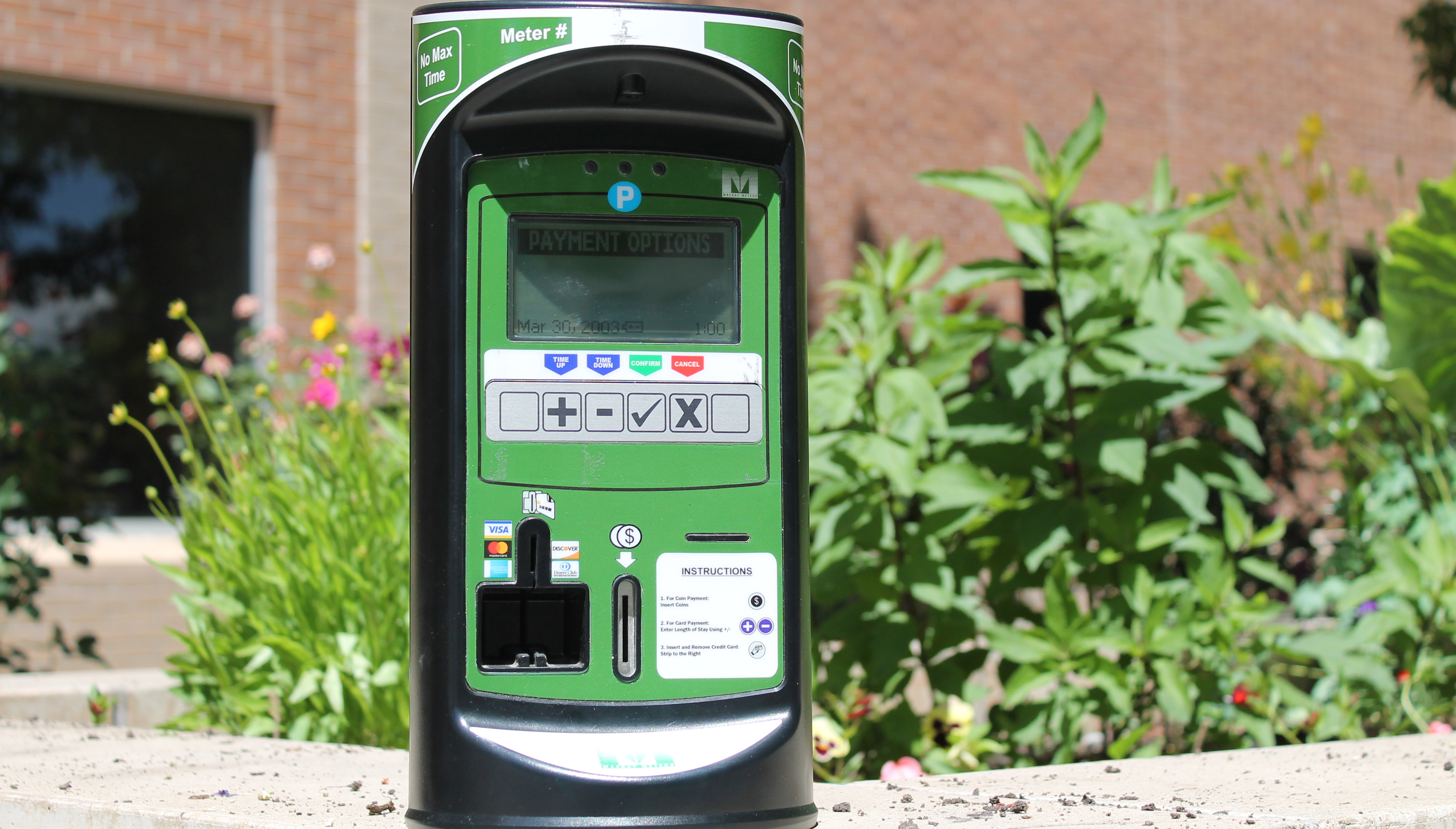 Meter sitting on top of concrete with flowers in the background.
