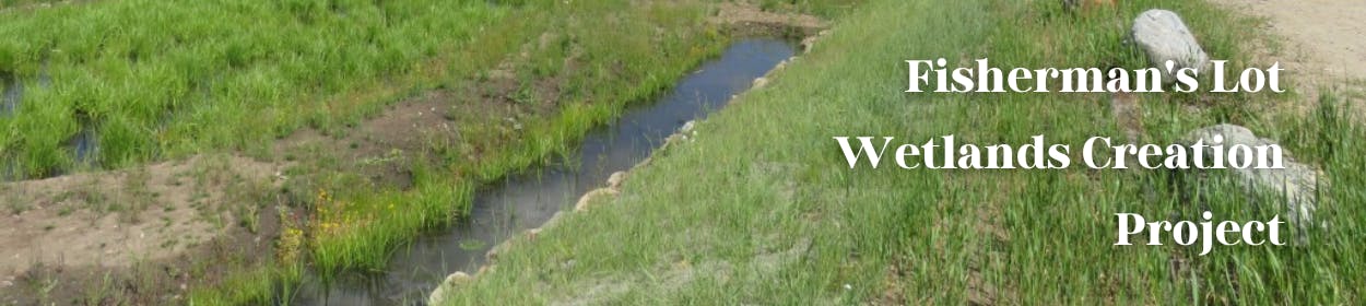 Fisherman's Lot Wetlands Creation Project - An example of a completed wetlands