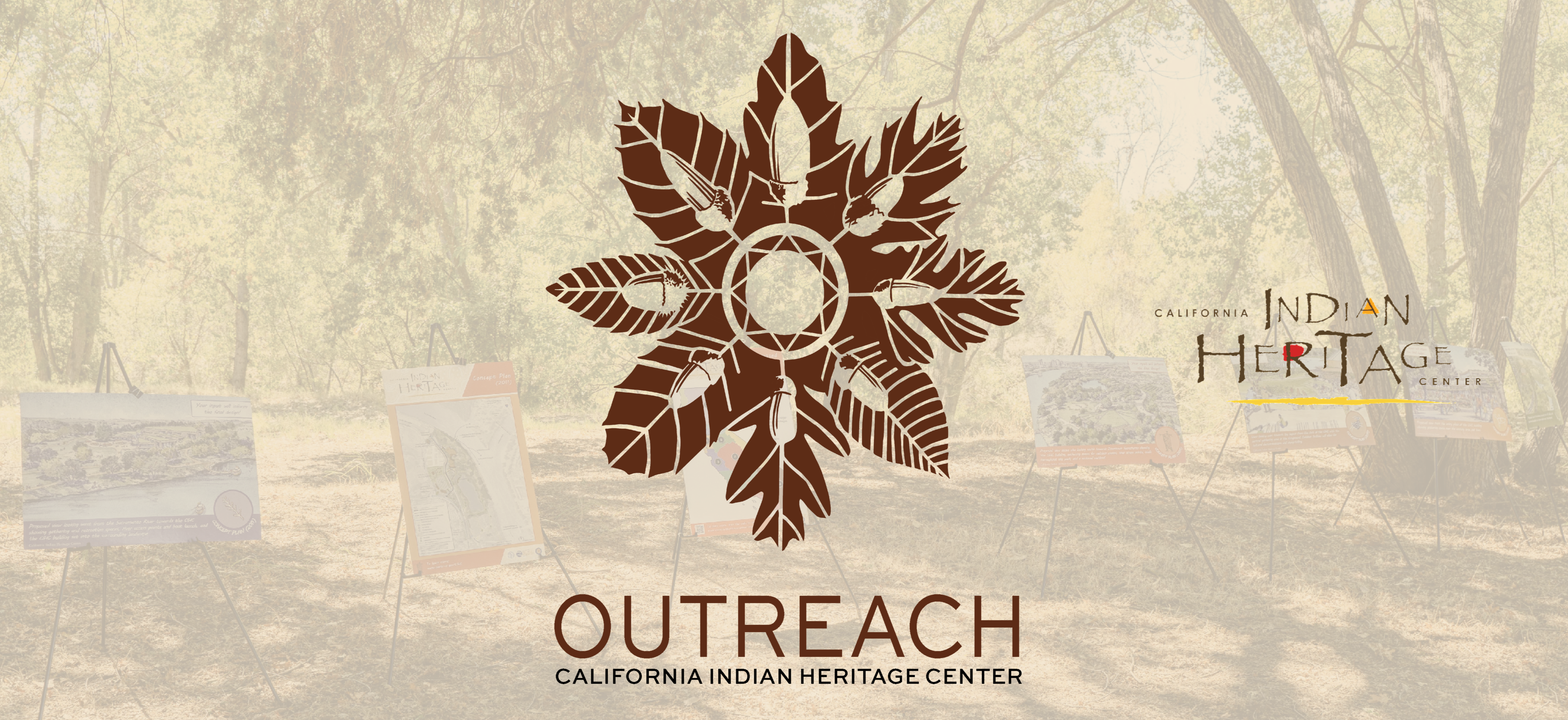 Oak trees in a sunny natural area in West Sacramento