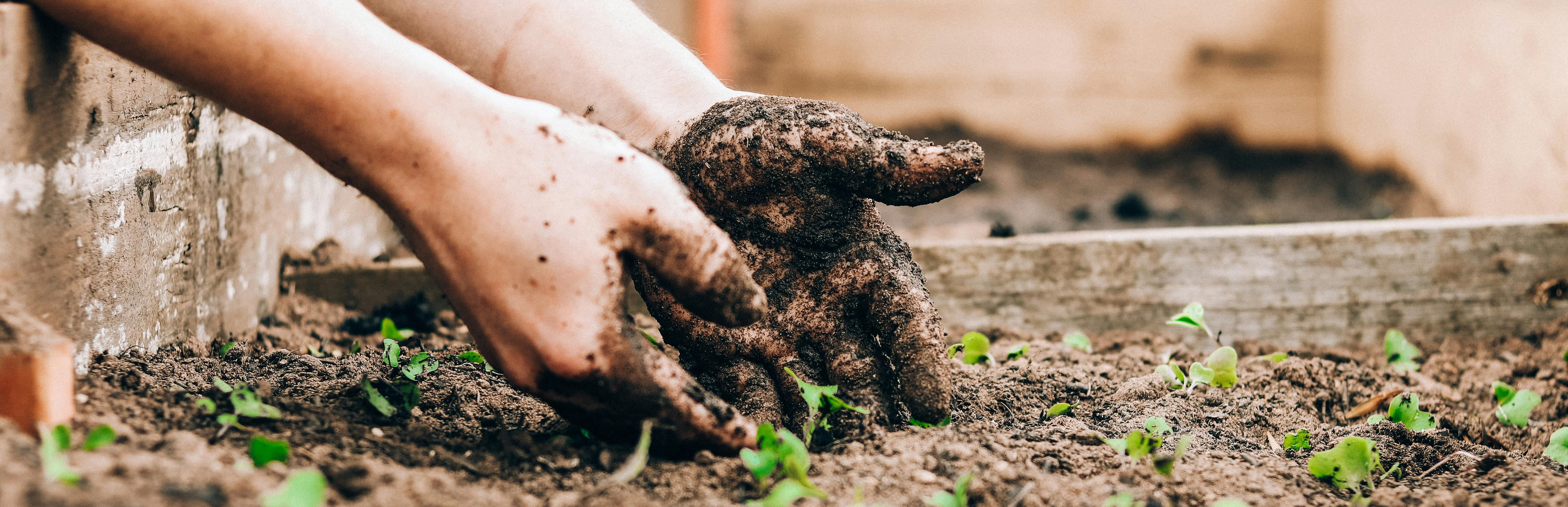 hand scooping fertilizer dirt into bucket