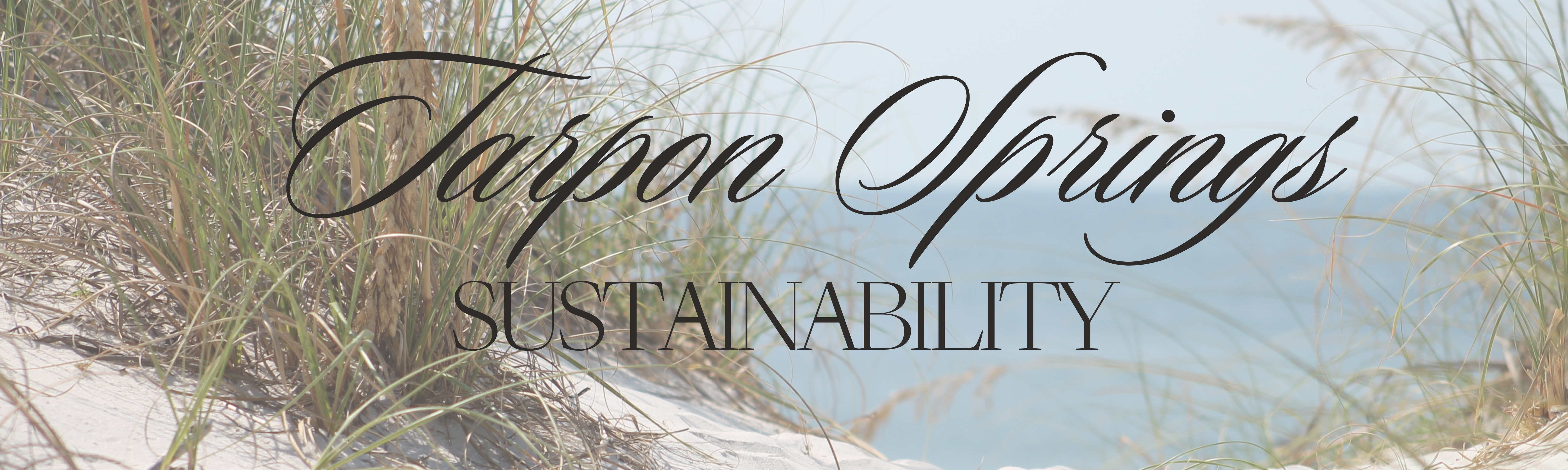 Snip of the Sustainable Tarpon Springs survey flyer heading 