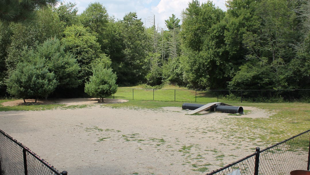 The Temporary dog park was opened in 2017 at the Regional Park.