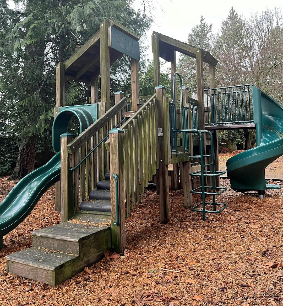 A treehouse play structure with two green slides photographed on an overcast fall day in the Pacific Northwest