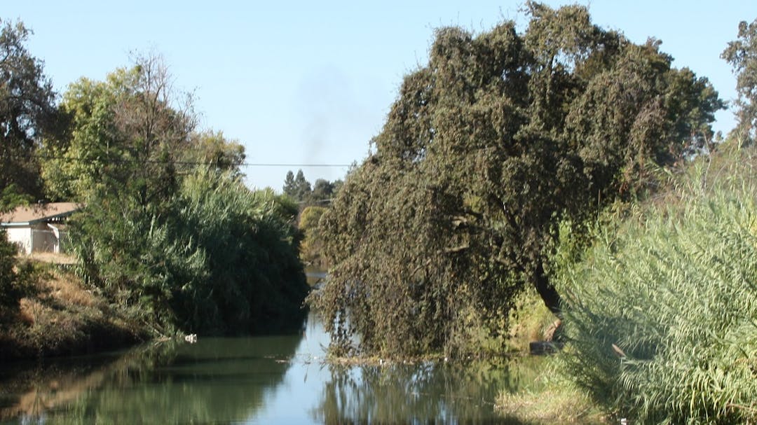 The Bear Creek restoration project will restore a 6-mile-long portion of Bear Creek. 