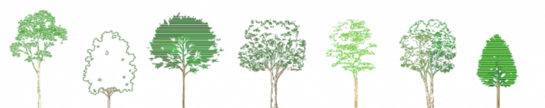 graphic of nine drawn deciduous trees of different types in a row