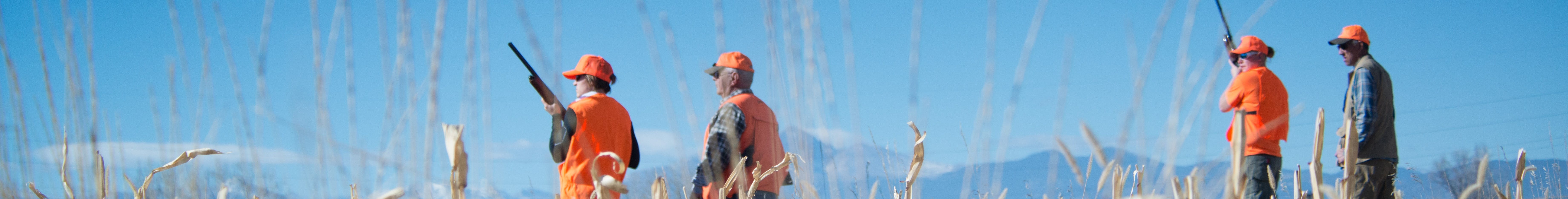 Hunters in orange