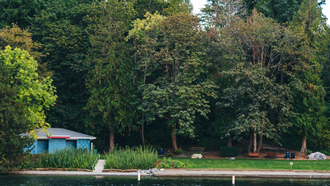 View of a waterfront park on Lake Washington