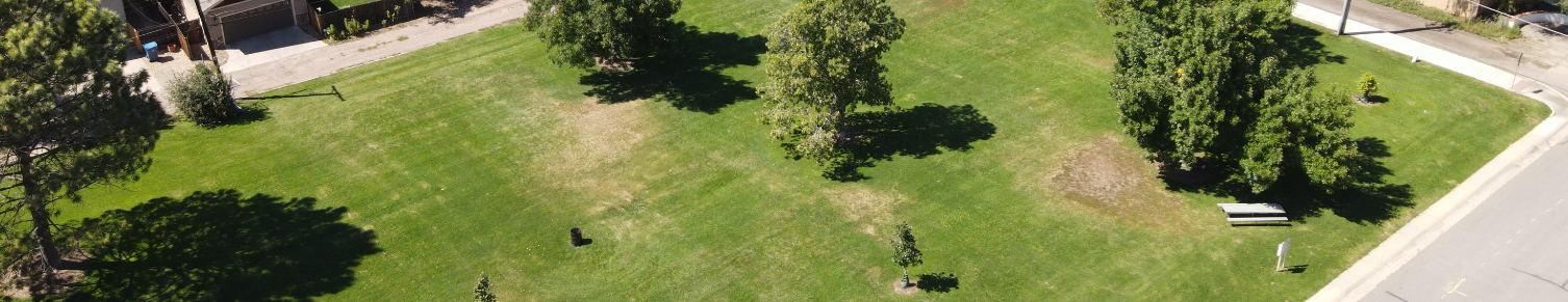 Drone Shot of Emerson Park
