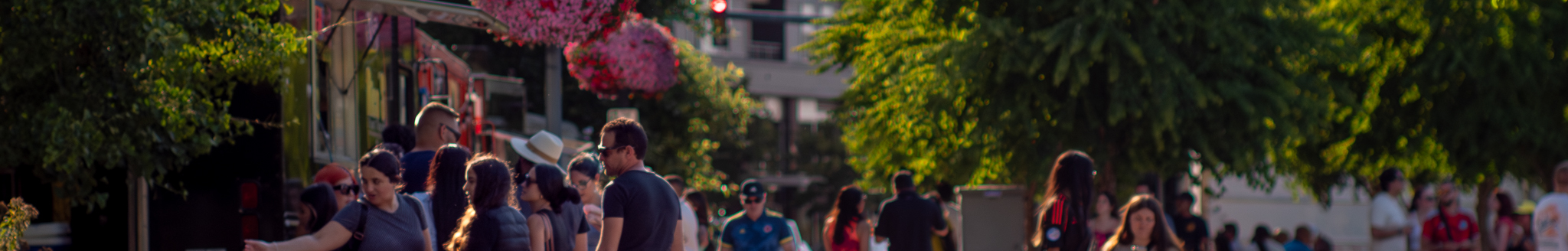Event attendees in Downtown Park