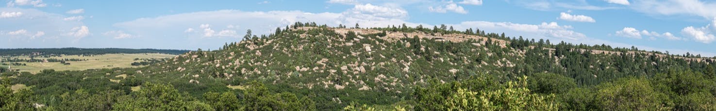 Trees and Landscape at Castlewood Canyon State Park