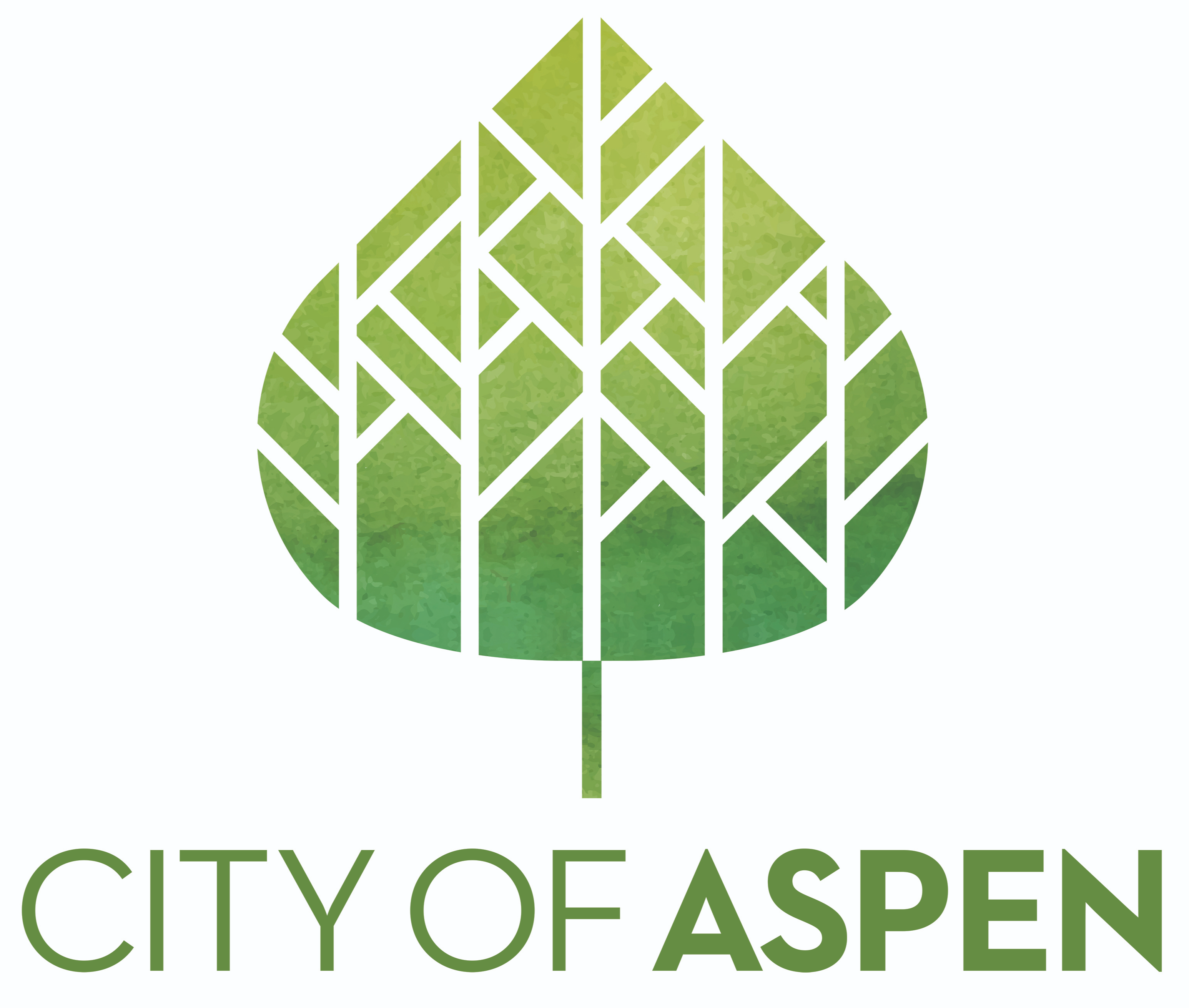 Aspen Community Voice