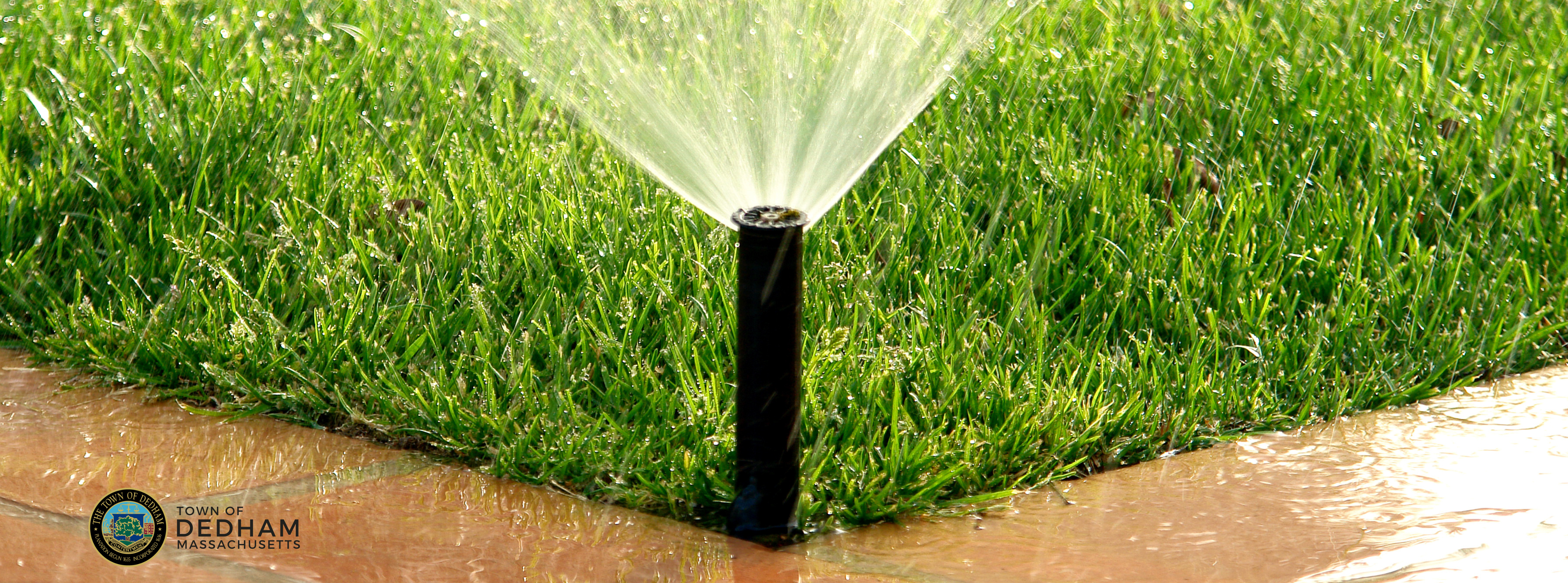 sprinkler spraying water on grass near corner of walkway