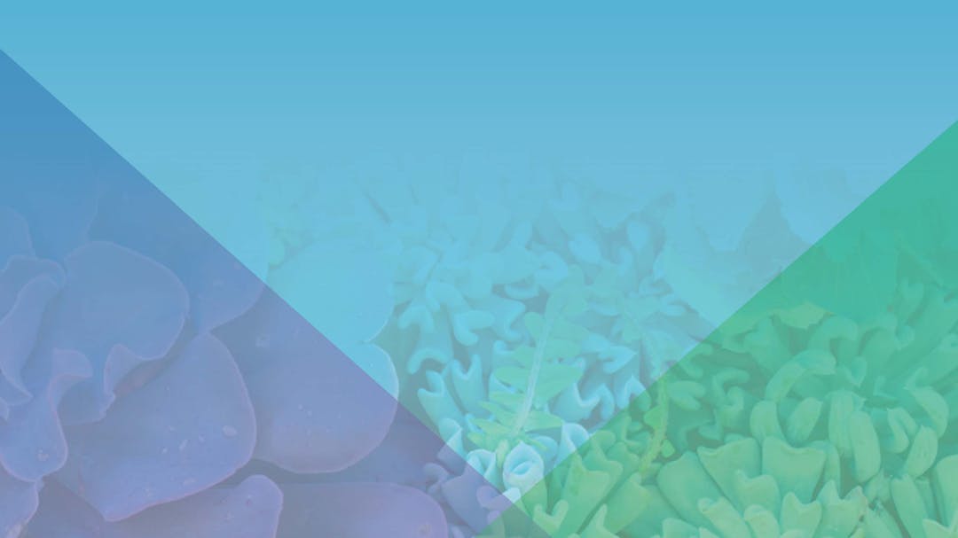 Thumbnail of the title page of the Colorado Landscape Summit: Transformative Change for Resilient Future document.
