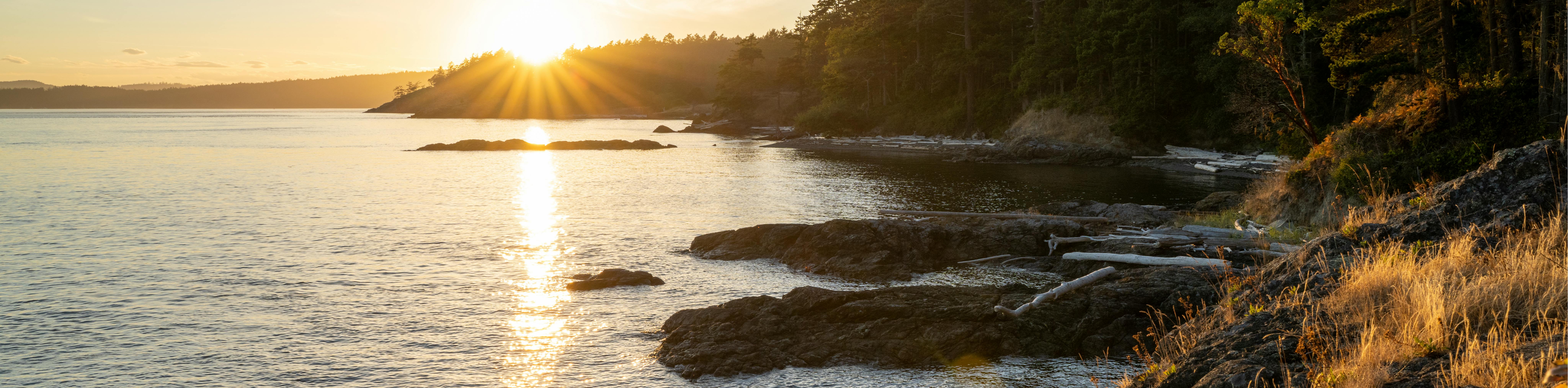 San Juan Islands Shoreline