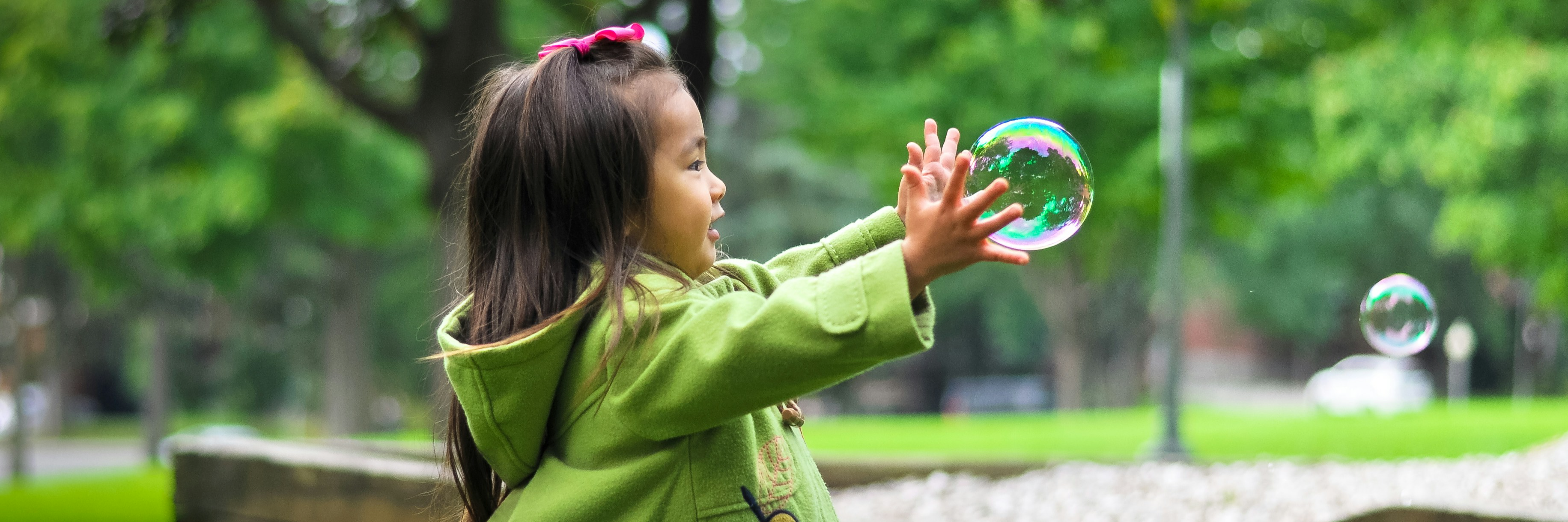 A dog in a green grassy background leaps in the air to catch a yellow ball