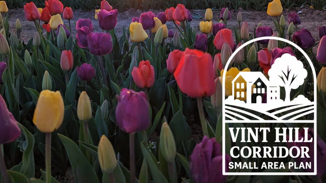 Vint Hill Small Area Plan graphic with fields, buildings and trees