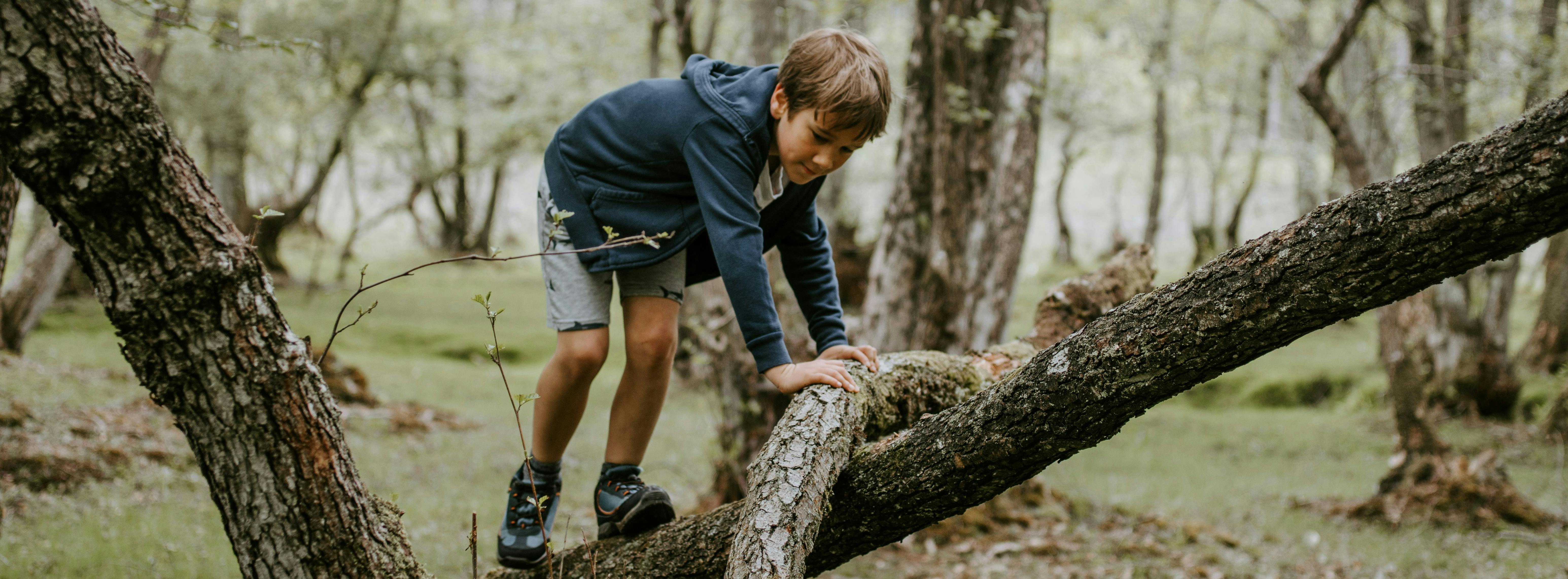 A dog in a green grassy background leaps in the air to catch a yellow ball