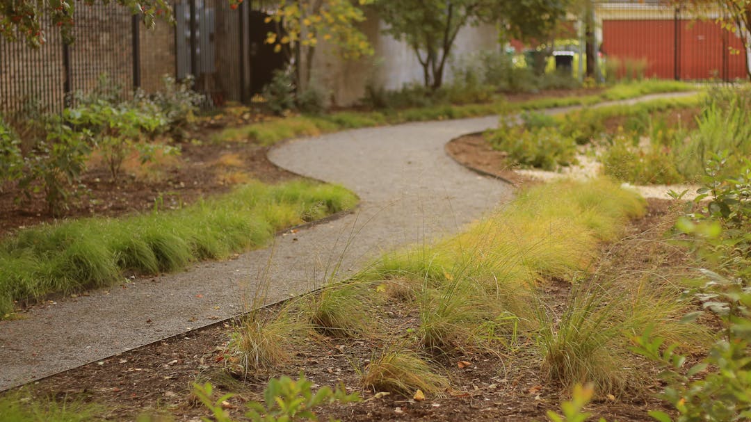 Rain garden with native plants outside Oak Park Public Works Center