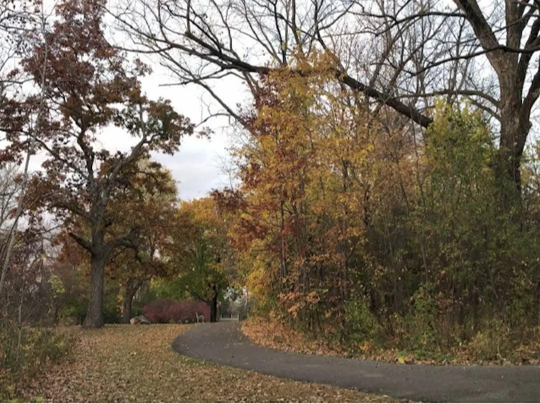 Paved path curving through a wooded parkland in autumn