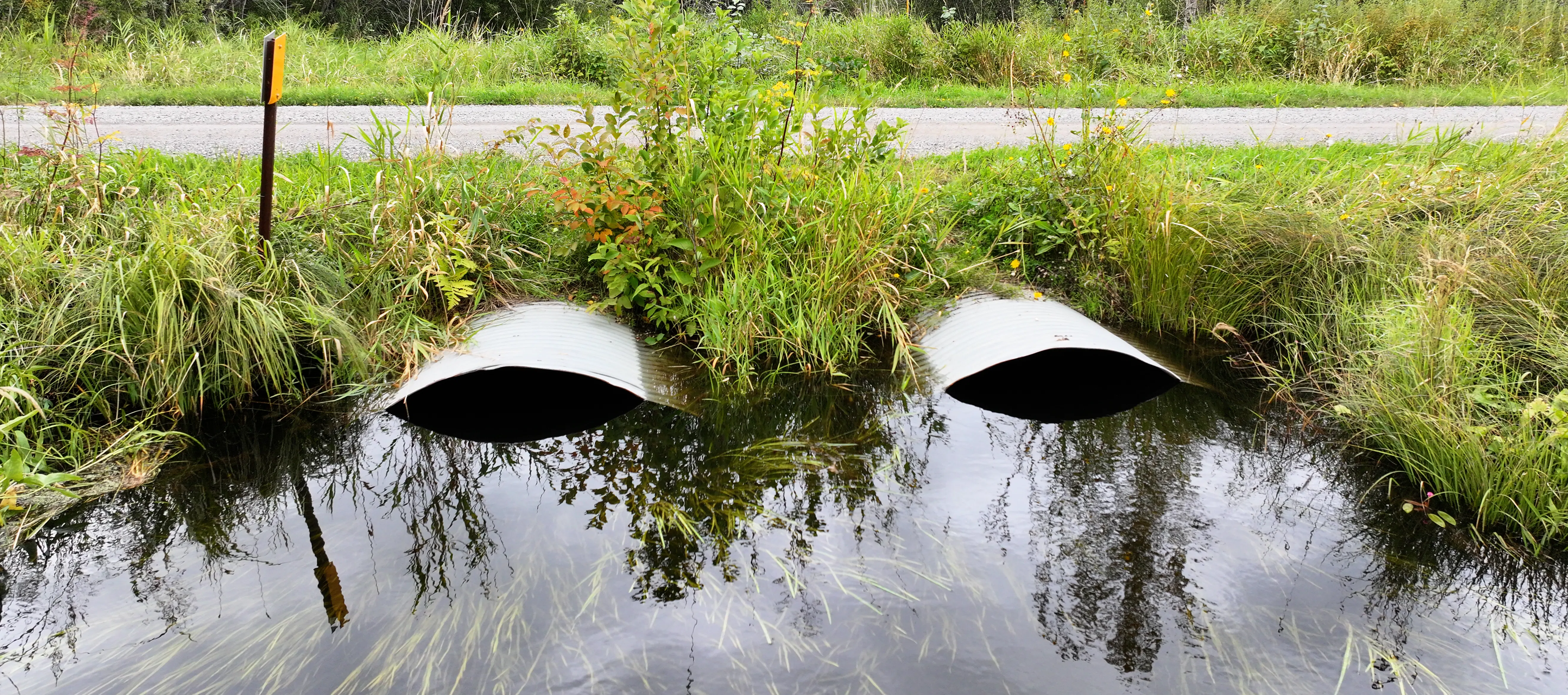 2 culverts with water and weeds going through over a dirt road