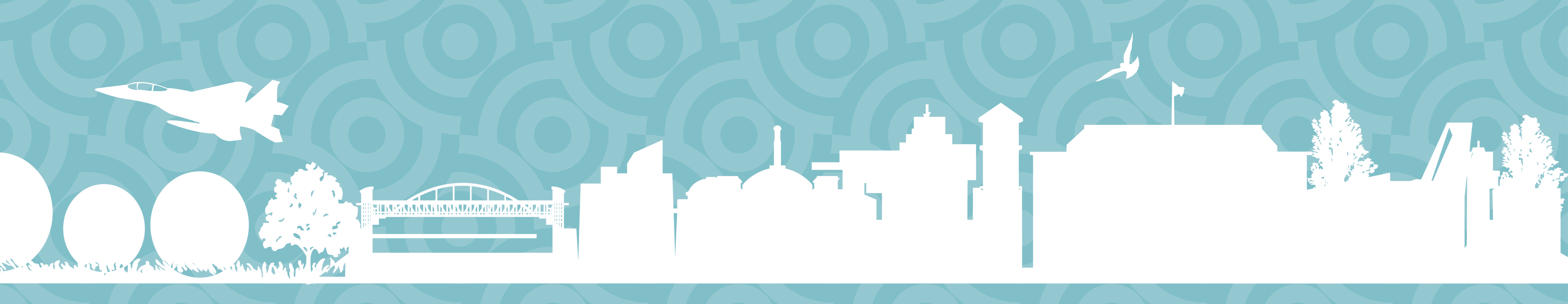 project banner