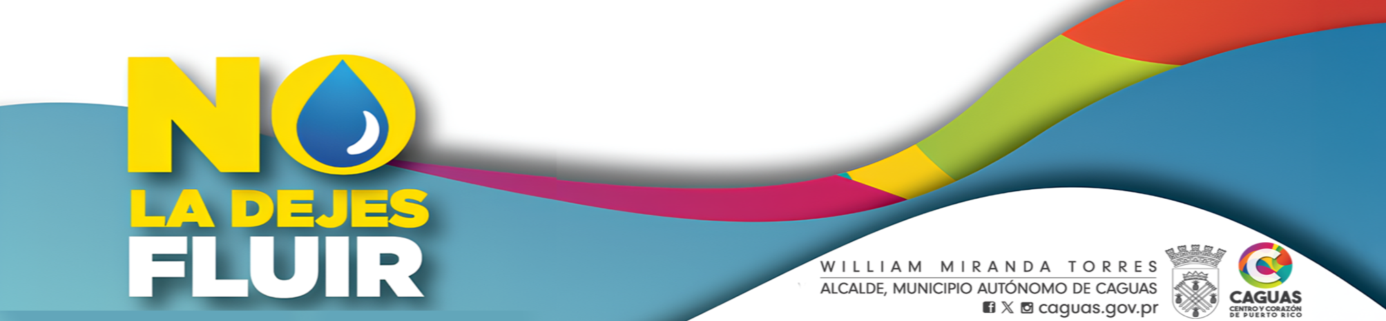 project banner