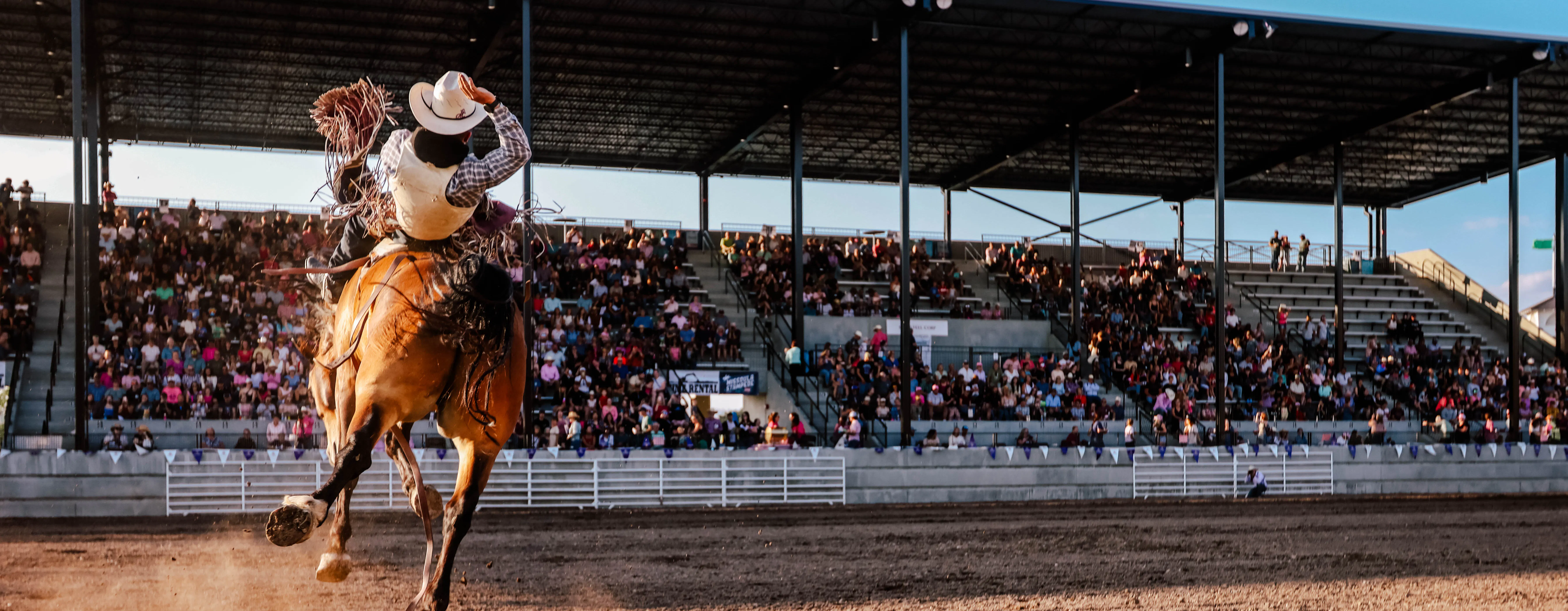 Bucking bronc in front of a full grandstands area